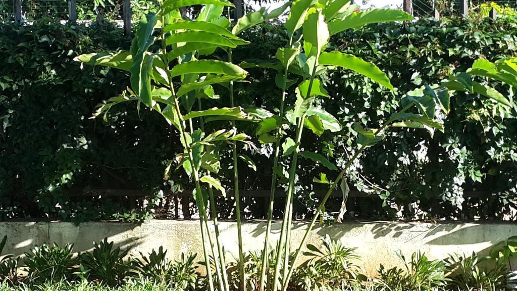 Marumadi Planeta Mocambique S. Vincente de Paulo 外观 照片